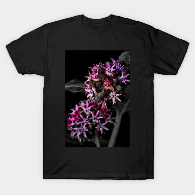 Flower Pop T-Shirt by Awake-Aware